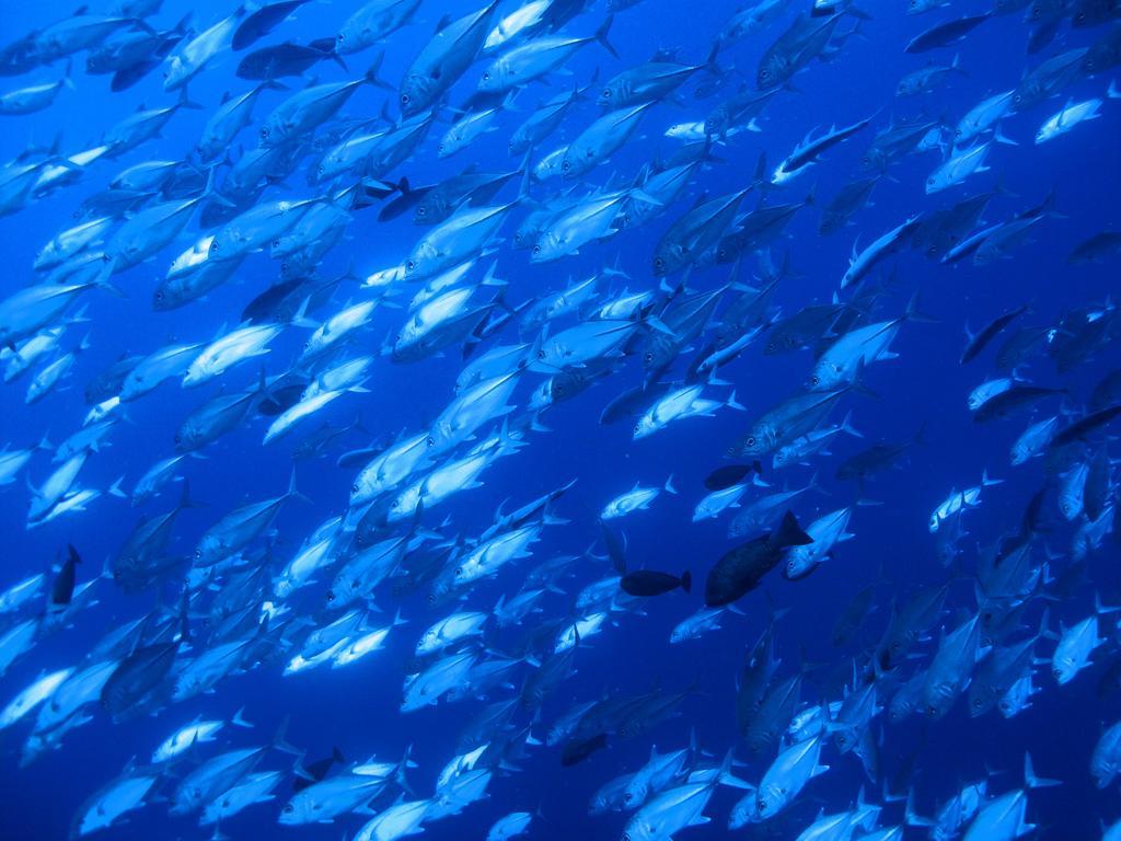 Diving Center Punta Stilo公寓 外观 照片